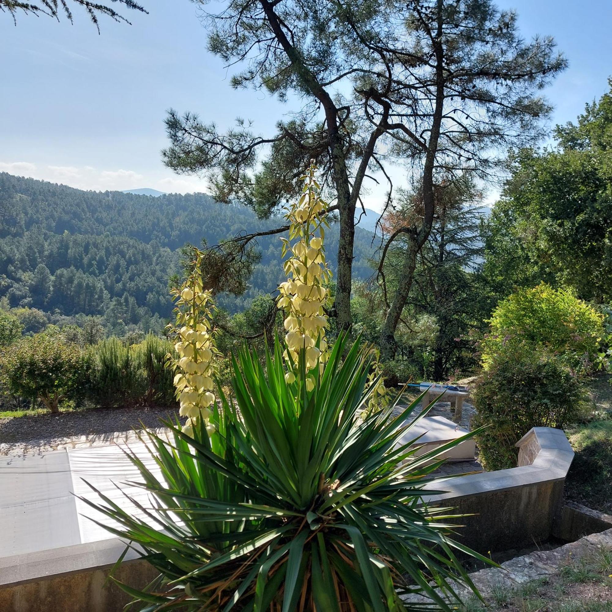 Chalet 14 Pers Avec Vue Panoramique Et Piscine Chauffee Genolhac Exterior foto